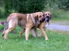 Filename=0908doz_beck7m.jpg
Filesize=38KiB
Dimensions=640x480
Date added=%833 %10, %2008 0908doz_beck7m.jpg