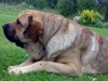 Filename=0908dozy1y5m1.jpg
Filesize=51KiB
Dimensions=640x480
Date added=%832 %10, %2008 0908dozy1y5m1.jpg