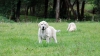 Filename=10.jpg
Filesize=218KiB
Dimensions=1164x652
Date added=%938 %05, %2007 10.jpg