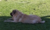 Filename=100_0210.jpg
Filesize=94KiB
Dimensions=900x543
Date added=%804 %01, %2006 100_0210.jpg