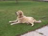Filename=100_3245.jpg
Filesize=148KiB
Dimensions=1200x900
Date added=%869 %14, %2007 100_3245.jpg