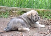 Filename=101.jpg
Filesize=26KiB
Dimensions=400x286
Date added=%008 %02, %2006 101.jpg