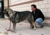 Filename=1213-morgan-paco.jpg
Filesize=36KiB
Dimensions=600x423
Date added=%363 %28, %2007 1213-morgan-paco.jpg