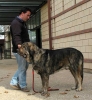 Filename=1214-morgan-paco.jpg
Filesize=43KiB
Dimensions=554x600
Date added=%109 %04, %2006 1214-morgan-paco.jpg