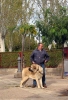 Filename=1219-gul.jpg
Filesize=52KiB
Dimensions=411x600
Date added=%112 %04, %2006 1219-gul.jpg