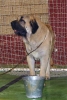 Filename=1238-ron.jpg
Filesize=43KiB
Dimensions=405x600
Date added=%967 %21, %2007 1238-ron.jpg