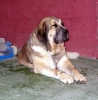 Filename=1253.jpg
Filesize=32KiB
Dimensions=592x600
Date added=%529 %25, %2006 1253.jpg