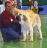 Filename=1283-curro.jpg
Filesize=41KiB
Dimensions=592x600
Date added=%518 %16, %2006 1283-curro.jpg