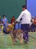 Filename=1286-eneas.jpg
Filesize=29KiB
Dimensions=444x600
Date added=%516 %16, %2006 1286-eneas.jpg