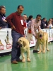 Filename=1287-curro-iker.jpg
Filesize=34KiB
Dimensions=451x600
Date added=%517 %16, %2006 1287-curro-iker.jpg
