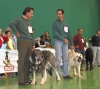Filename=1344-26-27-29.jpg
Filesize=69KiB
Dimensions=600x539
Date added=%693 %15, %2007 1344-26-27-29.jpg