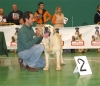 Filename=1346-Perlaexc2.jpg
Filesize=62KiB
Dimensions=600x516
Date added=%753 %24, %2007 1346-Perlaexc2.jpg