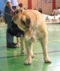 Filename=1355sanson.jpg
Filesize=25KiB
Dimensions=512x600
Date added=%361 %20, %2007 1355sanson.jpg