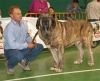 Filename=1362-caballero.jpg
Filesize=36KiB
Dimensions=600x491
Date added=%983 %21, %2007 1362-caballero.jpg