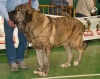 Filename=1363-caballero.jpg
Filesize=40KiB
Dimensions=600x474
Date added=%547 %23, %2006 1363-caballero.jpg