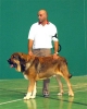 Filename=1374osito.jpg
Filesize=26KiB
Dimensions=480x600
Date added=%396 %20, %2007 1374osito.jpg