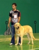 Filename=1379-don-atila.jpg
Filesize=29KiB
Dimensions=478x600
Date added=%793 %15, %2007 1379-don-atila.jpg