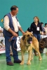 Filename=1386-leon.jpg
Filesize=29KiB
Dimensions=403x600
Date added=%976 %21, %2007 1386-leon.jpg