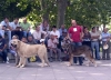 Filename=14-15.jpg
Filesize=63KiB
Dimensions=800x576
Date added=%674 %22, %2006 14-15.jpg