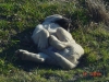 Filename=14.jpg
Filesize=86KiB
Dimensions=640x480
Date added=%714 %01, %2007 14.jpg