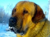 Filename=16012009221.jpg
Filesize=34KiB
Dimensions=640x480
Date added=%553 %17, %2009 16012009221.jpg