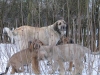 Filename=17.jpg
Filesize=49KiB
Dimensions=600x450
Date added=%445 %24, %2006 17.jpg