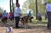 Filename=19025301_1049028435233077_4141669436327249370_o.jpg
Filesize=395KiB
Dimensions=2048x1365
Date added=%728 %13, %2017 19025301_1049028435233077_4141669436327249370_o.jpg