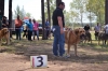 Filename=19055175_1049028018566452_2266219833515756378_o.jpg
Filesize=375KiB
Dimensions=2048x1365
Date added=%733 %13, %2017 19055175_1049028018566452_2266219833515756378_o.jpg