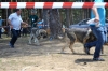 Filename=19055443_1049027831899804_1749386230874176160_o.jpg
Filesize=328KiB
Dimensions=2048x1365
Date added=%733 %13, %2017 19055443_1049027831899804_1749386230874176160_o.jpg