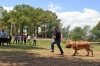 Filename=19092857_1049027995233121_711524975998178265_o.jpg
Filesize=382KiB
Dimensions=2048x1365
Date added=%733 %13, %2017 19092857_1049027995233121_711524975998178265_o.jpg
