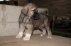 Filename=2009161.jpg
Filesize=205KiB
Dimensions=1024x680
Date added=%281 %23, %2009 2009161.jpg
