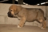 Filename=200961.jpg
Filesize=190KiB
Dimensions=1024x680
Date added=%285 %23, %2009 200961.jpg