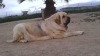 Filename=20140324_192423.jpg
Filesize=124KiB
Dimensions=1500x844
Date added=%850 %05, %2014 20140324_192423.jpg