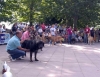 Filename=21a27.jpg
Filesize=76KiB
Dimensions=800x619
Date added=%610 %16, %2006 21a27.jpg