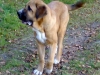 Filename=2209beck.jpg
Filesize=44KiB
Dimensions=640x480
Date added=%520 %05, %2008 2209beck.jpg