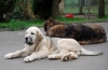 Filename=24.jpg
Filesize=151KiB
Dimensions=1102x720
Date added=%461 %08, %2007 24.jpg