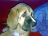 Filename=24022008Becky.jpg
Filesize=25KiB
Dimensions=640x480
Date added=%834 %26, %2008 24022008Becky.jpg