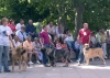 Filename=25-26-27.jpg
Filesize=63KiB
Dimensions=800x572
Date added=%468 %17, %2006 25-26-27.jpg