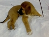 Filename=250208-Becky.jpg
Filesize=18KiB
Dimensions=640x480
Date added=%528 %01, %2008 250208-Becky.jpg