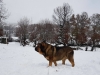 Filename=25188643_1582708751814227_3379730502660734744_o.jpg
Filesize=291KiB
Dimensions=1433x1075
Date added=%990 %13, %2017 25188643_1582708751814227_3379730502660734744_o.jpg