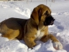 Filename=26022008becky.jpg
Filesize=29KiB
Dimensions=640x480
Date added=%528 %01, %2008 26022008becky.jpg