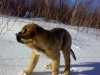 Filename=26022008move.jpg
Filesize=48KiB
Dimensions=640x480
Date added=%833 %26, %2008 26022008move.jpg