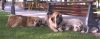 Filename=2606.jpg
Filesize=38KiB
Dimensions=800x312
Date added=%543 %13, %2006 2606.jpg