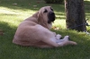 Filename=2611.jpg
Filesize=52KiB
Dimensions=800x530
Date added=%541 %13, %2006 2611.jpg