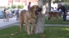 Filename=2612.jpg
Filesize=46KiB
Dimensions=800x450
Date added=%541 %13, %2006 2612.jpg