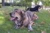 Filename=2613.jpg
Filesize=73KiB
Dimensions=800x542
Date added=%540 %13, %2006 2613.jpg