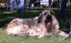 Filename=2623.jpg
Filesize=50KiB
Dimensions=800x489
Date added=%554 %13, %2006 2623.jpg