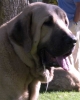 Filename=2626.jpg
Filesize=33KiB
Dimensions=646x800
Date added=%554 %13, %2006 2626.jpg