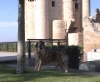 Filename=2632.jpg
Filesize=56KiB
Dimensions=800x659
Date added=%591 %13, %2006 2632.jpg