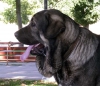Filename=2633.jpg
Filesize=65KiB
Dimensions=800x695
Date added=%591 %13, %2006 2633.jpg